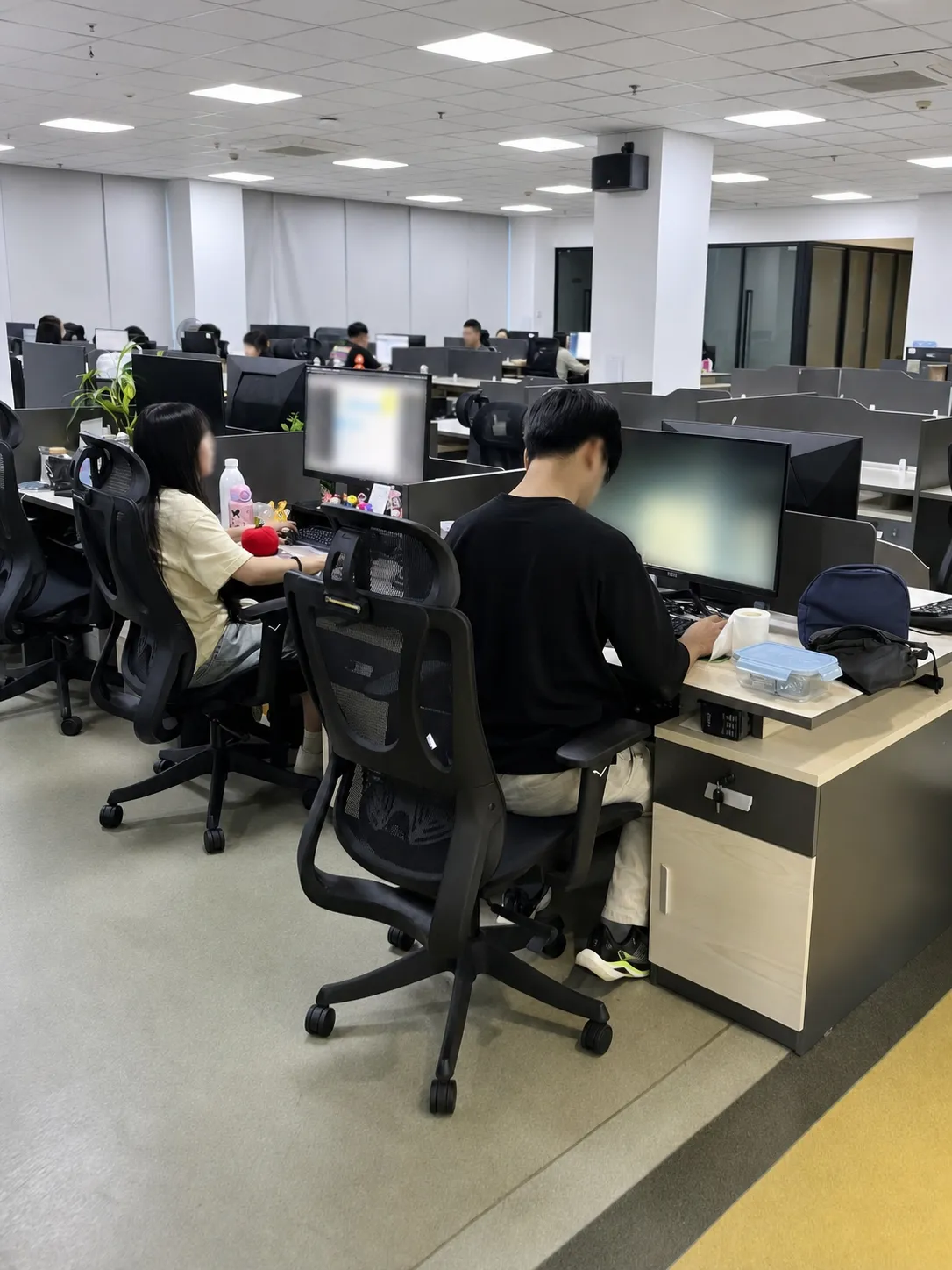 TRUHUOVA team working in the office